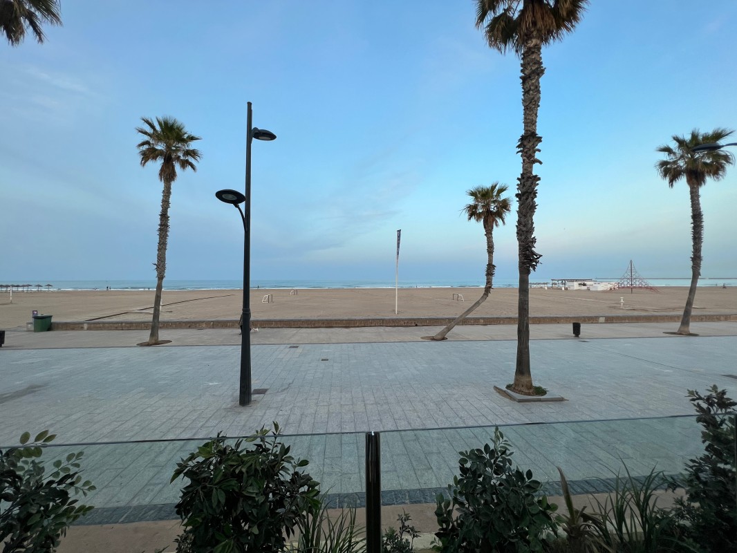 IMG_6426.jpeg
